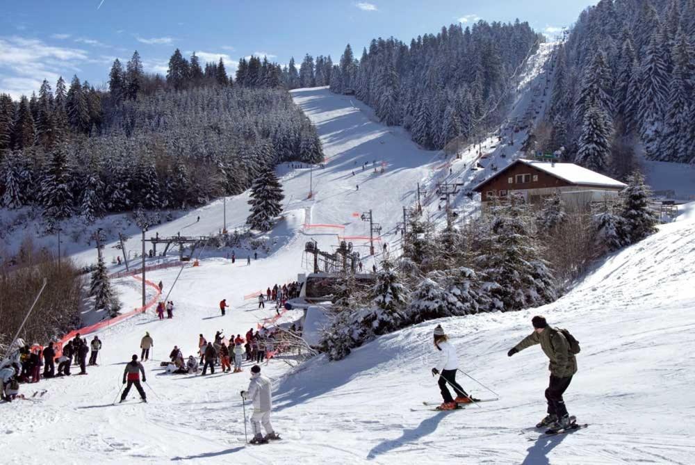 Chalet Les Camelias Spa Gérardmer Eksteriør bilde